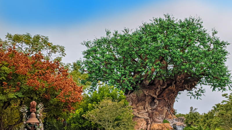 Disney Grants Aim to Help the Environment
