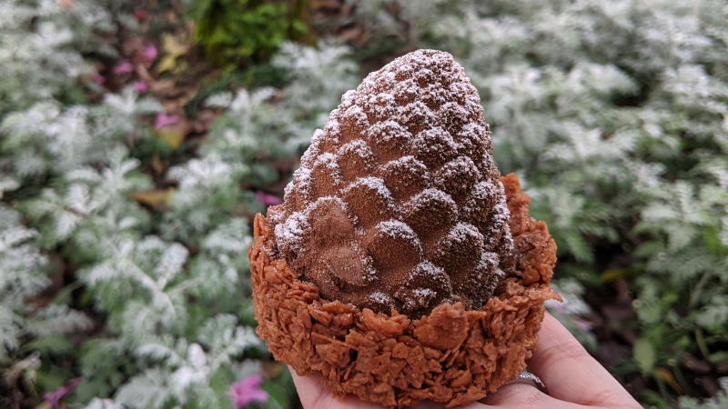 Chocolate Chestnut Pinecone at Hollywood Studios