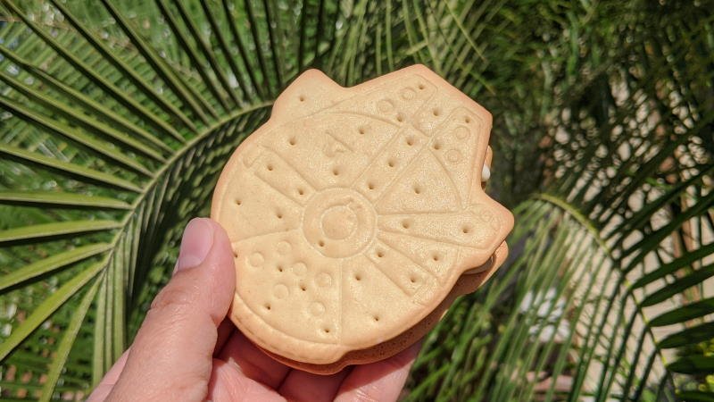 Spotted! Star Wars Millennium Falcon Ice Cream Sandwiches at Publix