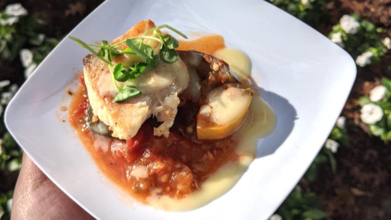 Epcot 2020 International Festival of the Arts Seared Corvina Cuisine Classique