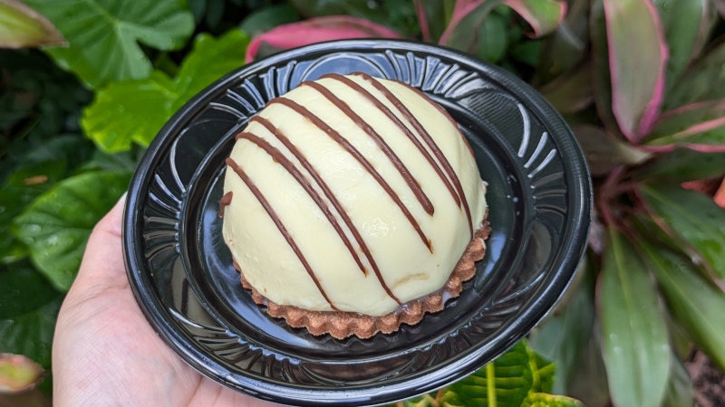Indulging in Amarula Bliss at Epcot’s Food and Wine Festival